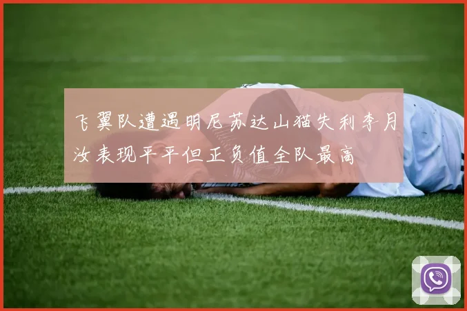 飞翼队遭遇明尼苏达山猫失利李月汝表现平平但正负值全队最高