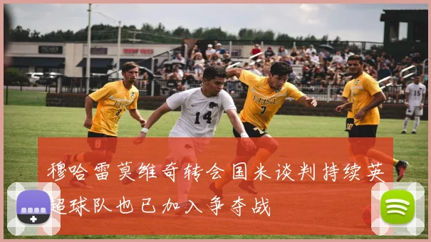 穆哈雷莫维奇转会国米谈判持续英超球队也已加入争夺战